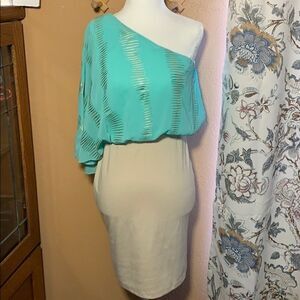 NWOT ViJo Couture One Shoulder Dress